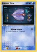 Bladder Fish