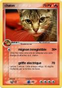 chaton