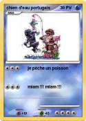 chien d'eau por