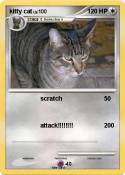 kitty cat