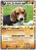 Duke The Beagle