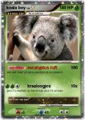koala boy