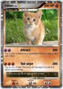 Kitten