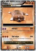 Puppy