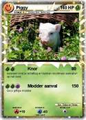 Piggy