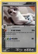 chat2