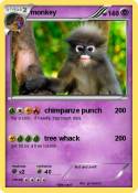monkey