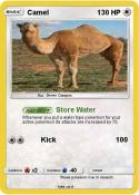 Camel