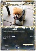 dog