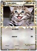 Cute kitten