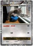 sniper cat