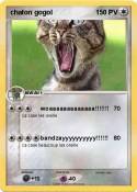 chaton gogol