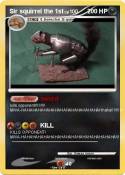Sir squirrel