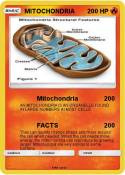 MITOCHONDRIA