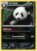 Mr .Panda