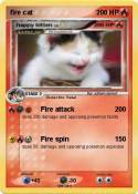 fire cat