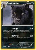 dark panther