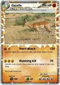 Gazelle