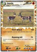 Gazelle