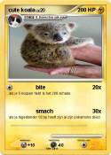 cute koala
