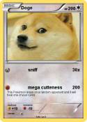 Doge