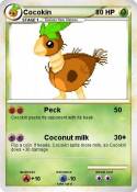 Cocokin