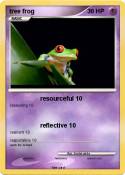 tree frog