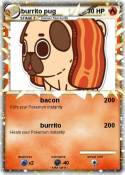 burrito pug