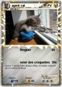 agent cat