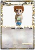 ice cat
