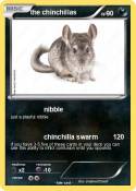 the chinchillas