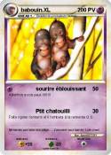 babouin.XL