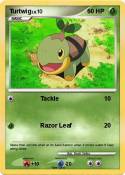 Turtwig