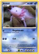 Axolotl