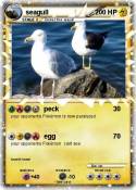 seagull