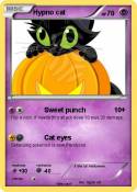 Hypno cat