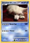 Snowflake EX