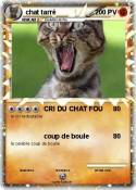 chat tarré