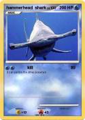 hammerhead