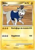 Shiba