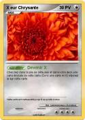 X eur Chrysante