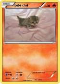 bébé chat