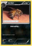 bee fact