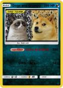 Doge and Grumpy
