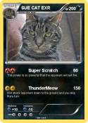 SUE CAT EXR