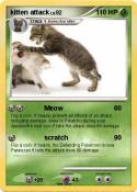 kitten attack