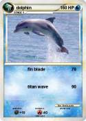 dolphin
