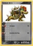 bowser niv x