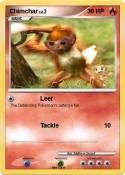 Chimchar
