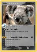 koala
